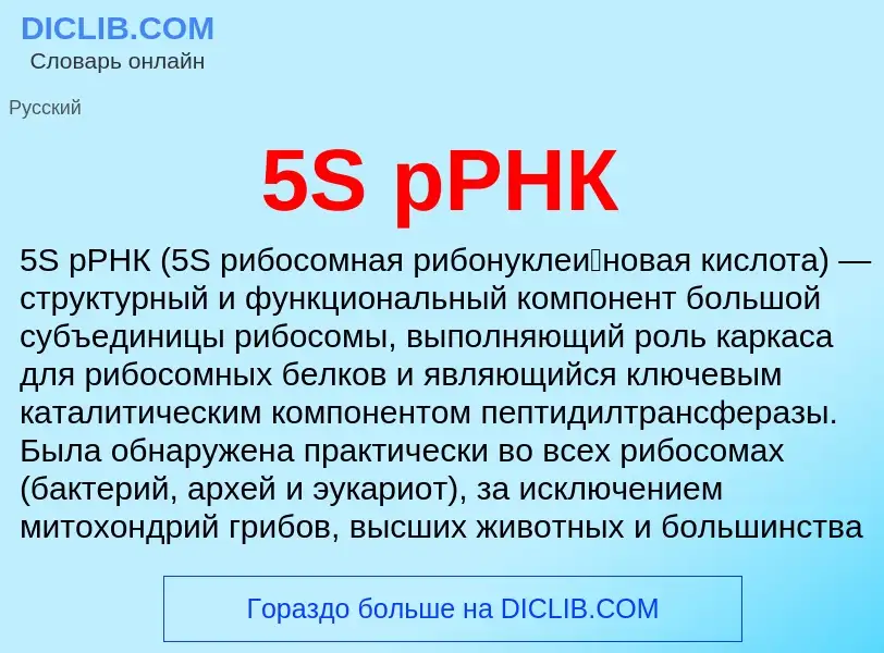 What is 5S рРНК - definition