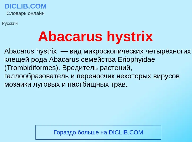 Τι είναι Abacarus hystrix - ορισμός