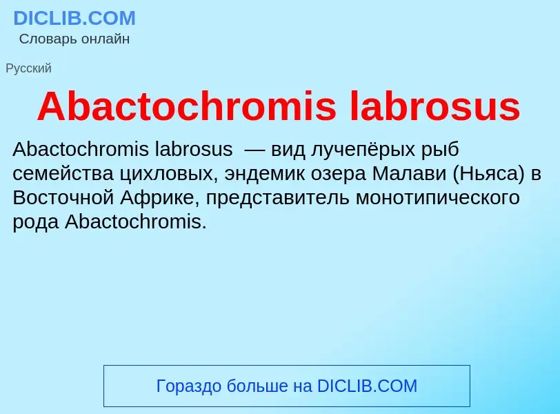 Τι είναι Abactochromis labrosus - ορισμός