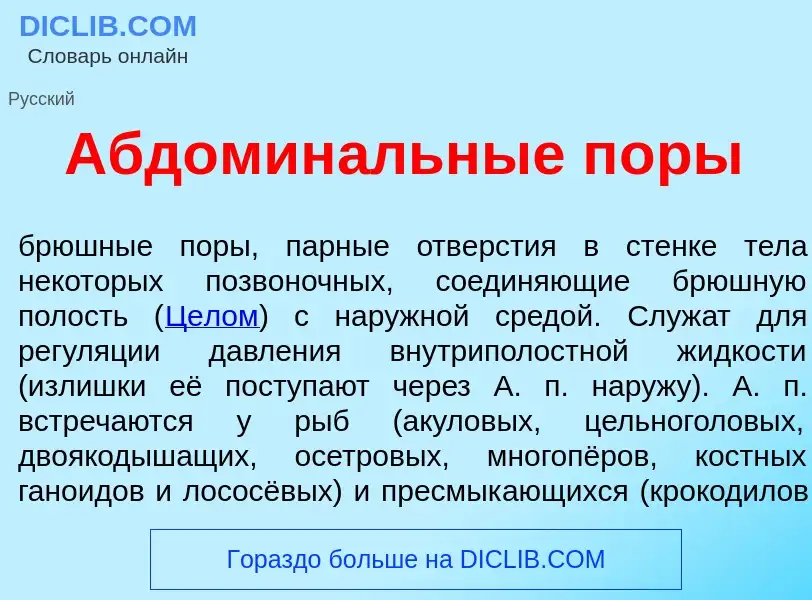 Qu'est-ce que Абдомин<font color="red">а</font>льные п<font color="red">о</font>ры - définition