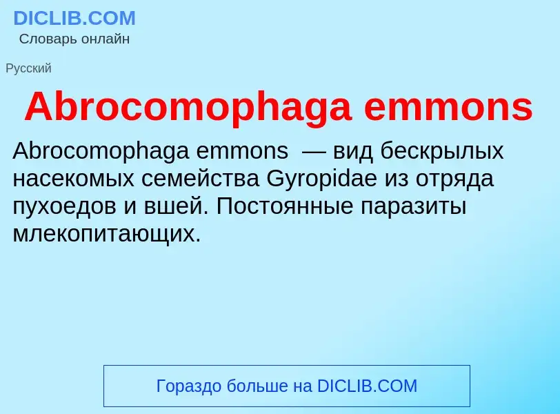 Τι είναι Abrocomophaga emmons - ορισμός