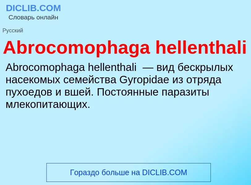 Τι είναι Abrocomophaga hellenthali - ορισμός