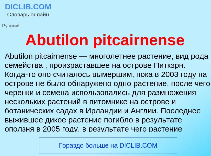 Τι είναι Abutilon pitcairnense - ορισμός