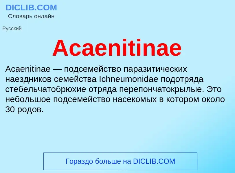 Τι είναι Acaenitinae - ορισμός