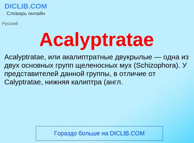 Τι είναι Acalyptratae - ορισμός