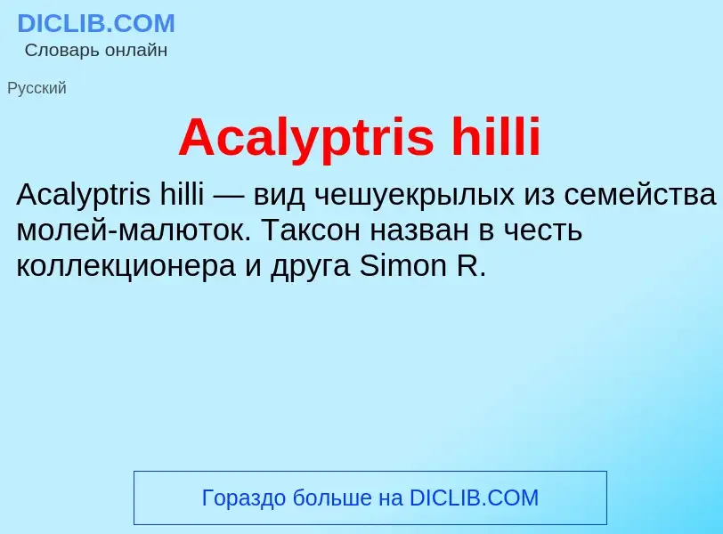 Τι είναι Acalyptris hilli - ορισμός