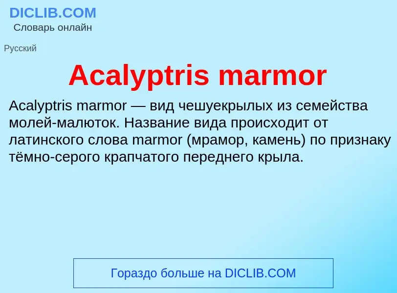 Τι είναι Acalyptris marmor - ορισμός