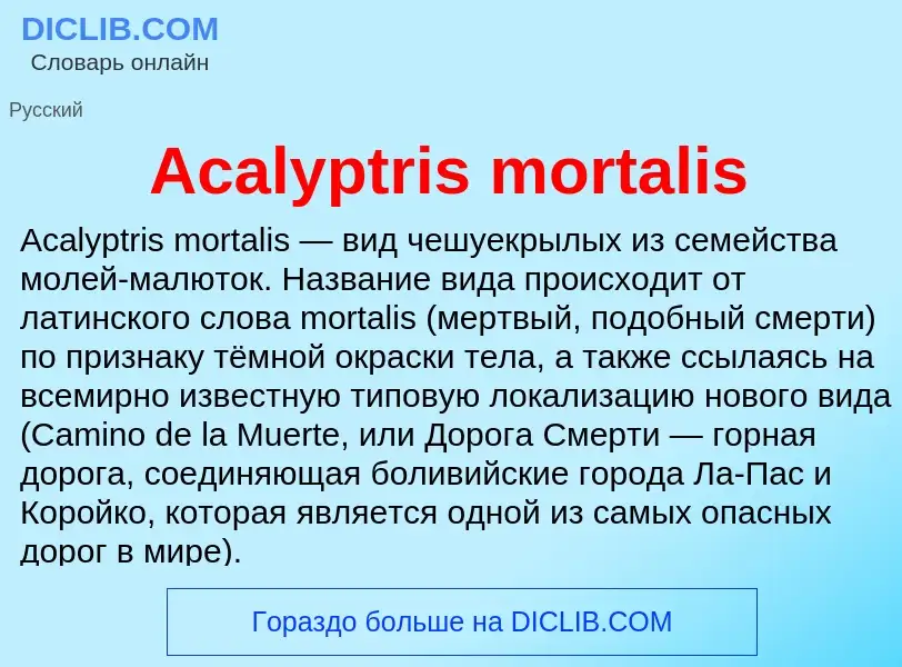 Τι είναι Acalyptris mortalis - ορισμός