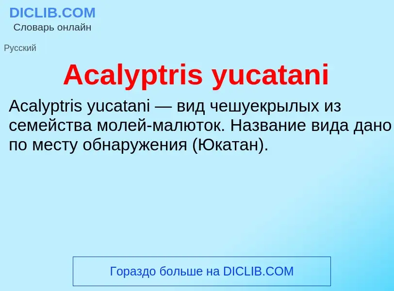 Τι είναι Acalyptris yucatani - ορισμός