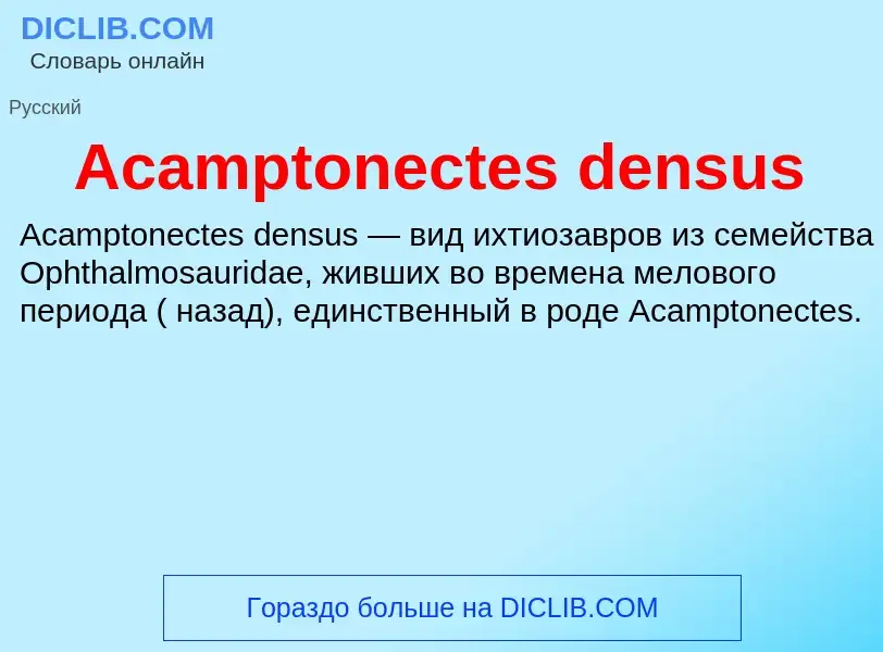 Τι είναι Acamptonectes densus - ορισμός