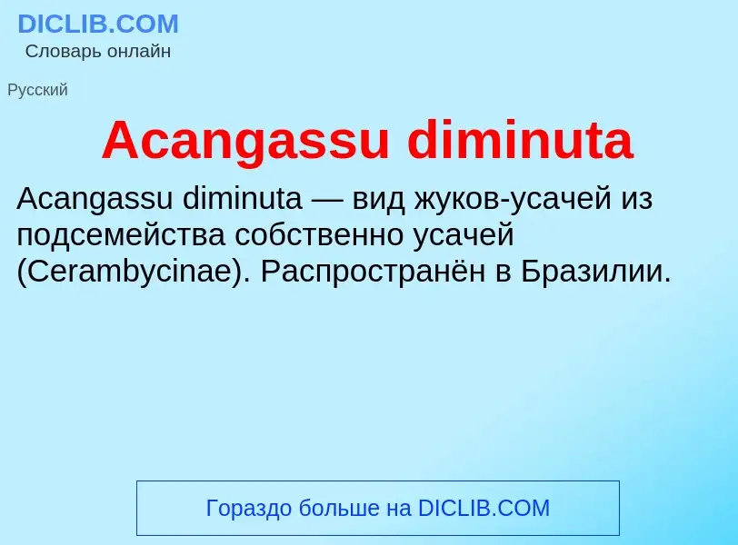 Τι είναι Acangassu diminuta - ορισμός