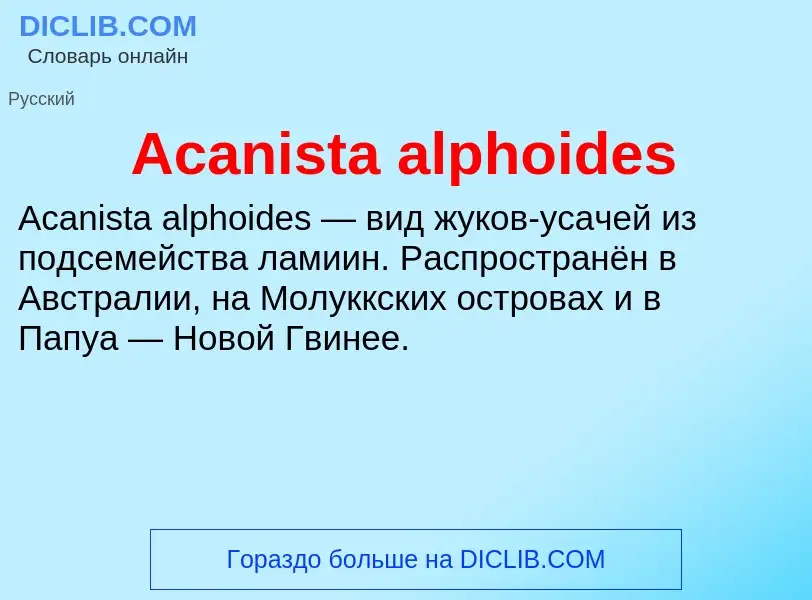 Τι είναι Acanista alphoides - ορισμός