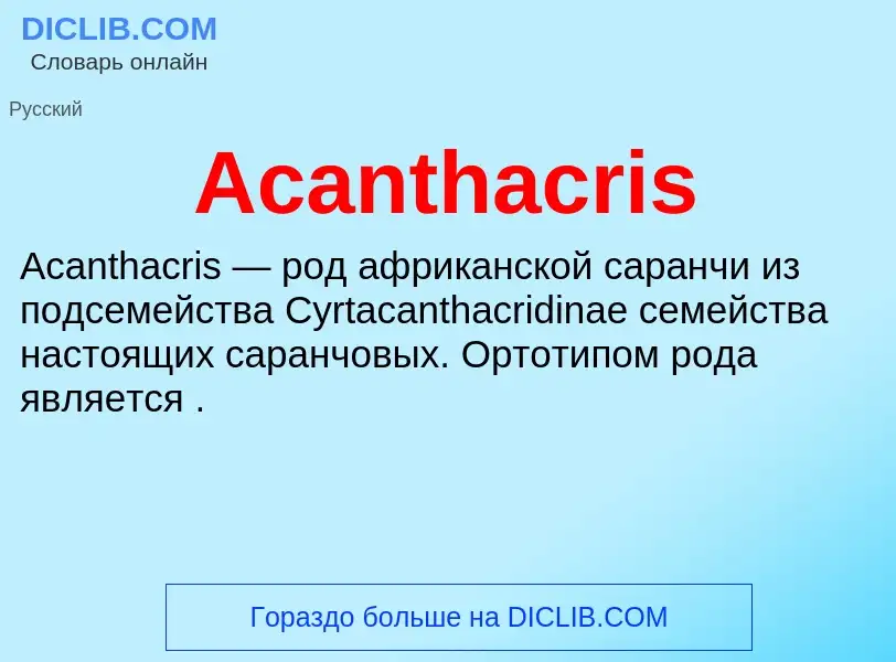 What is Acanthacris - definition