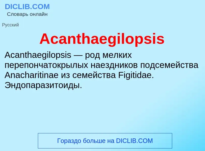 Τι είναι Acanthaegilopsis - ορισμός