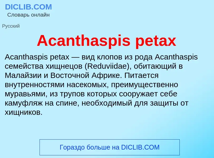 Τι είναι Acanthaspis petax - ορισμός