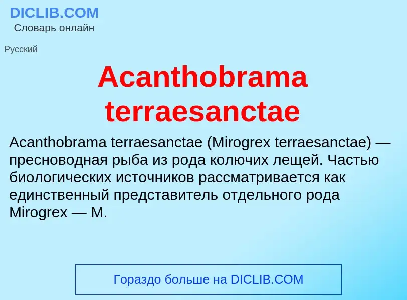 Τι είναι Acanthobrama terraesanctae - ορισμός