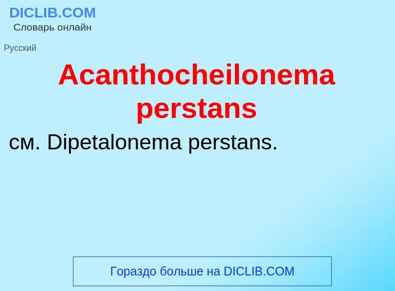 Τι είναι Acanthocheilonema perstans - ορισμός