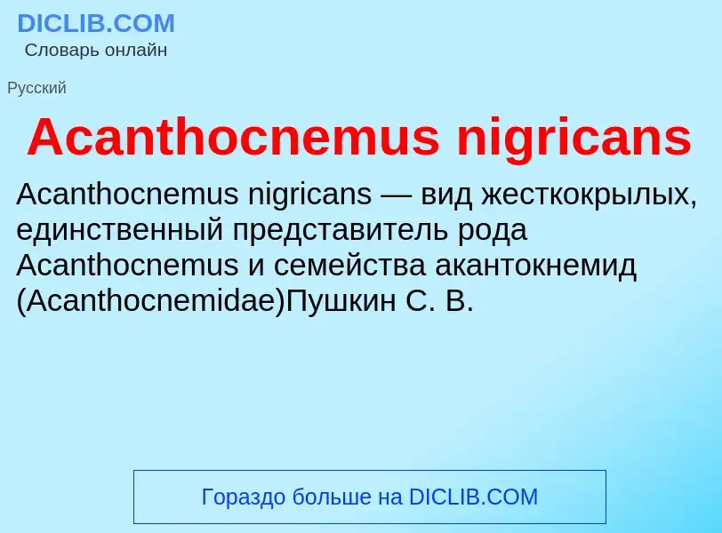 Τι είναι Acanthocnemus nigricans - ορισμός