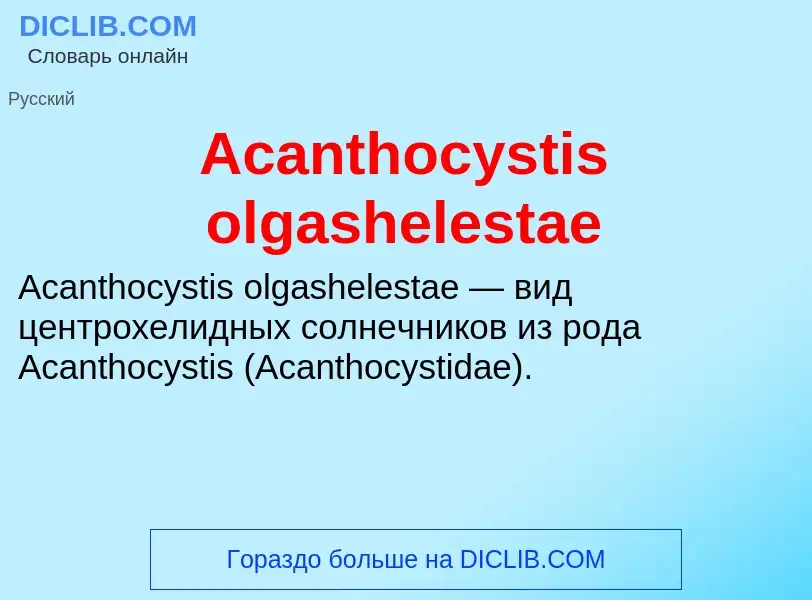 Τι είναι Acanthocystis olgashelestae - ορισμός