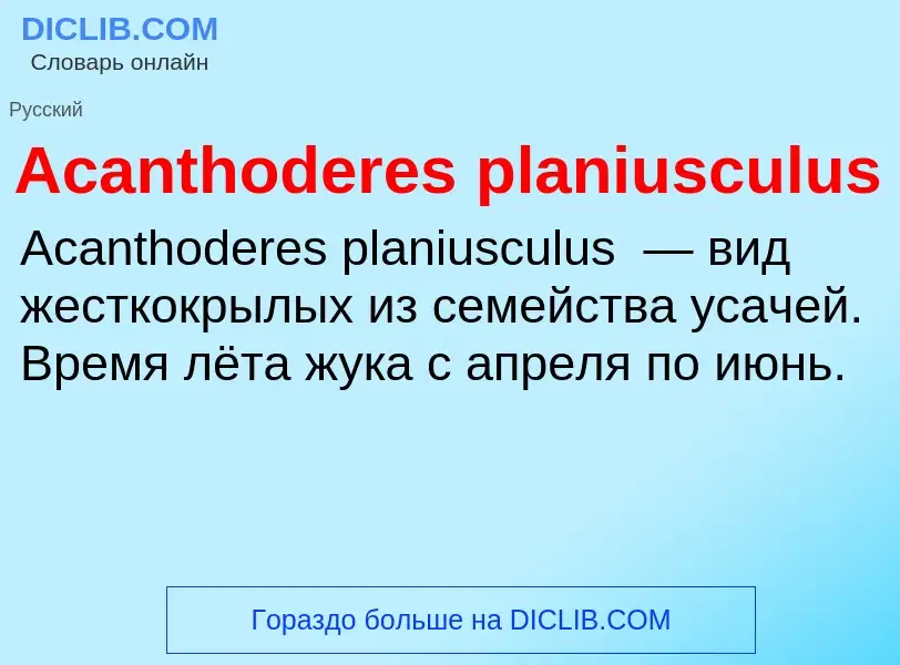 Τι είναι Acanthoderes planiusculus - ορισμός