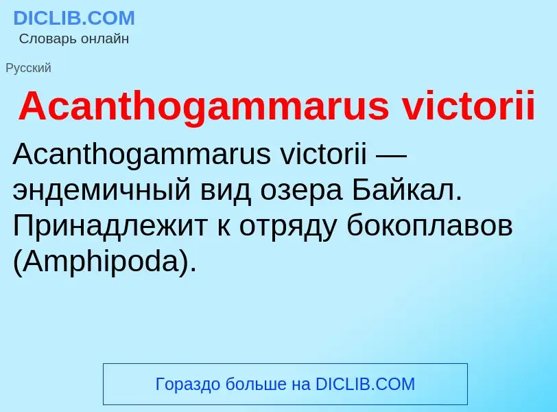 Τι είναι Acanthogammarus victorii - ορισμός