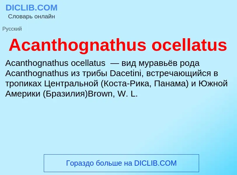 Τι είναι Acanthognathus ocellatus - ορισμός