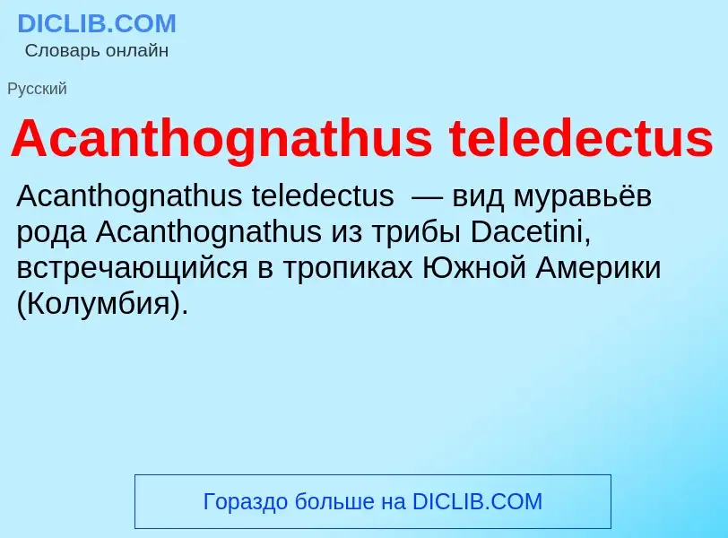 Τι είναι Acanthognathus teledectus - ορισμός