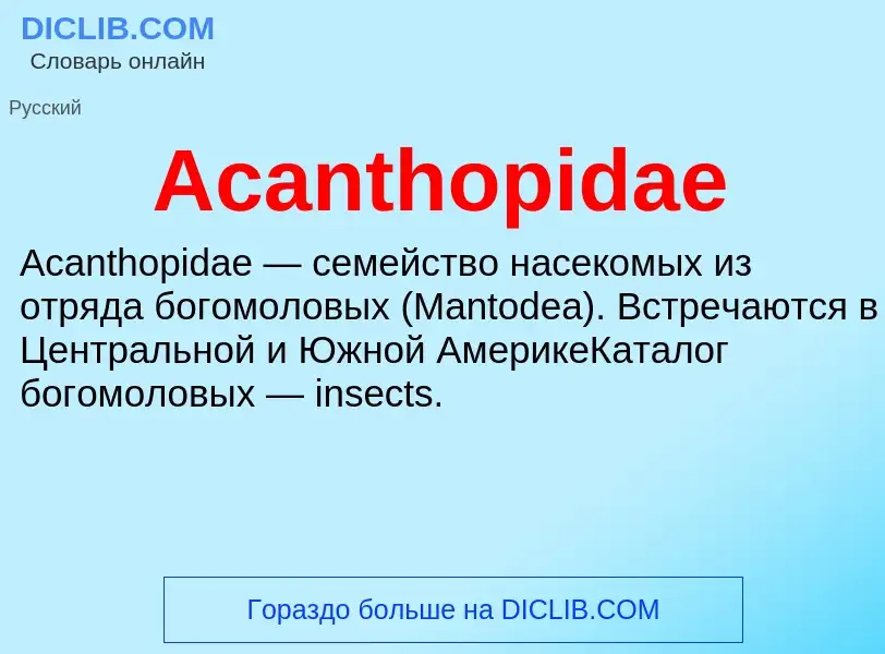 Τι είναι Acanthopidae - ορισμός