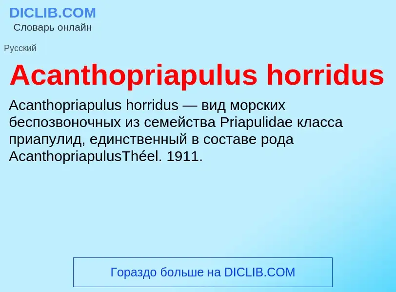 Τι είναι Acanthopriapulus horridus - ορισμός