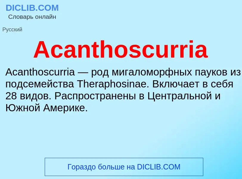 Τι είναι Acanthoscurria - ορισμός