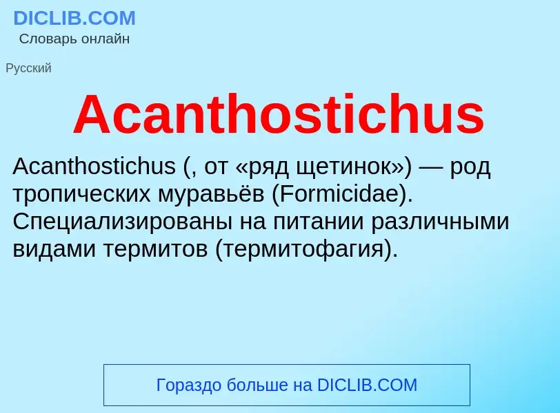 Τι είναι Acanthostichus - ορισμός