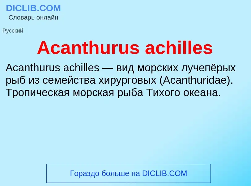 Τι είναι Acanthurus achilles - ορισμός