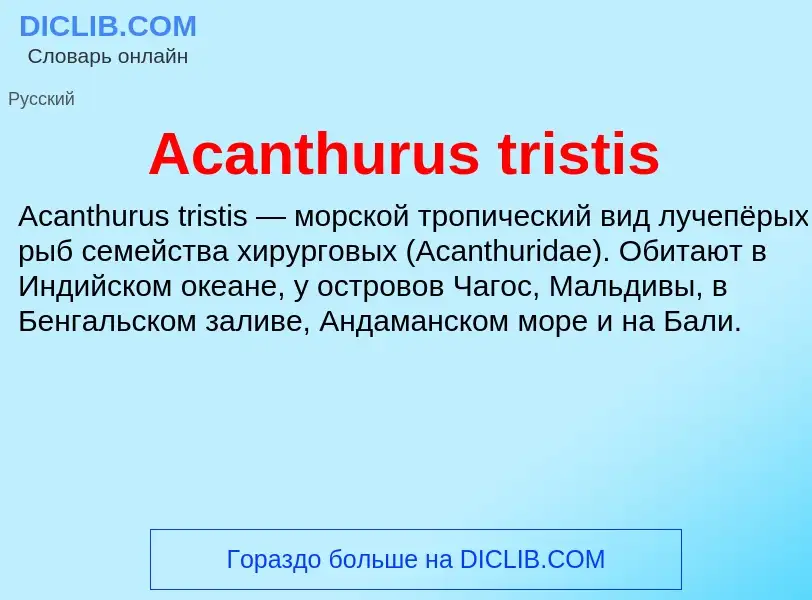 Τι είναι Acanthurus tristis - ορισμός