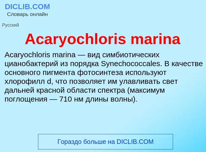 Τι είναι Acaryochloris marina - ορισμός