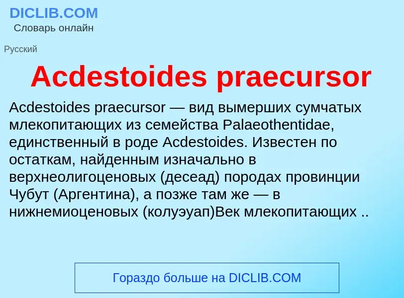 Τι είναι Acdestoides praecursor - ορισμός