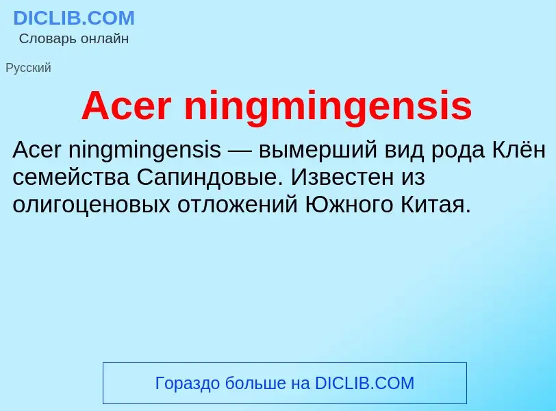 Τι είναι Acer ningmingensis - ορισμός