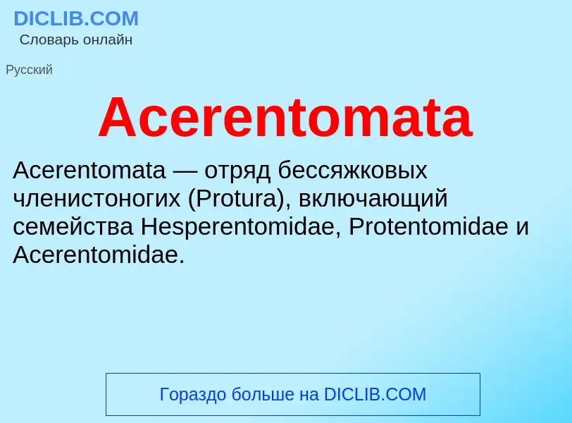 Τι είναι Acerentomata - ορισμός