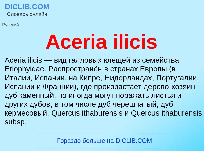 Τι είναι Aceria ilicis - ορισμός