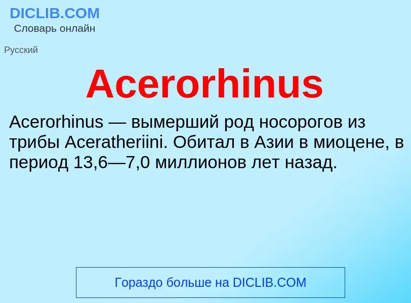 Τι είναι Acerorhinus - ορισμός