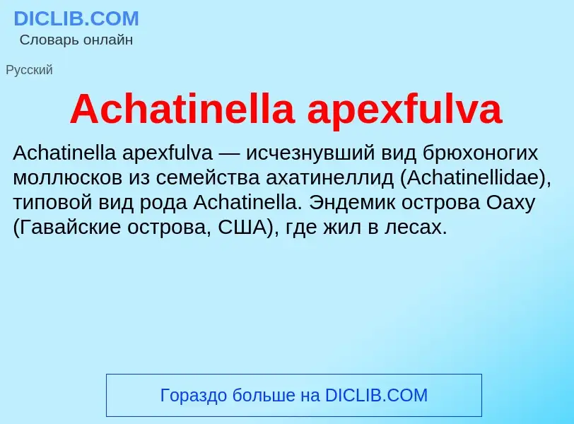 Τι είναι Achatinella apexfulva - ορισμός