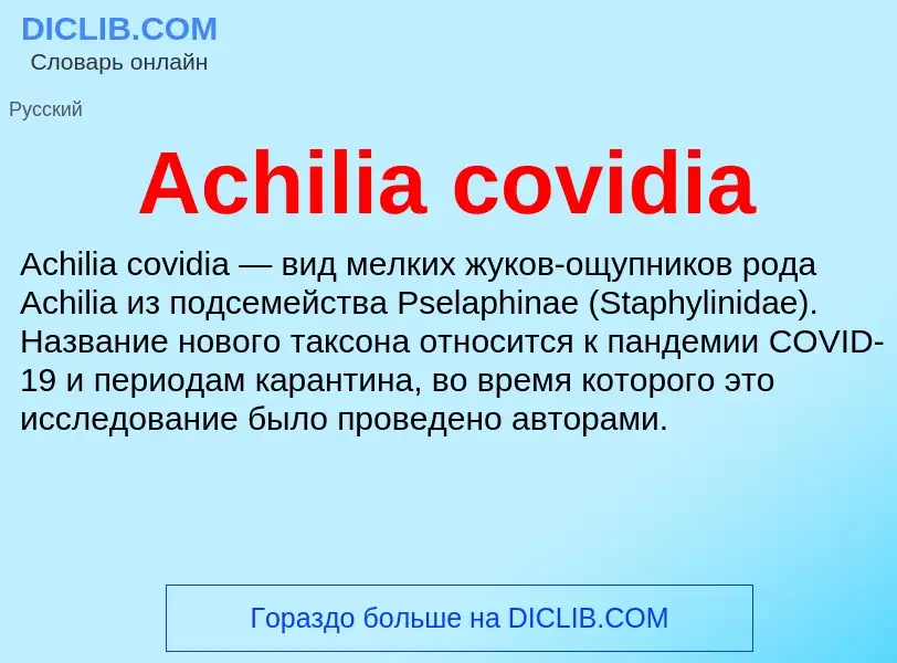 Τι είναι Achilia covidia - ορισμός