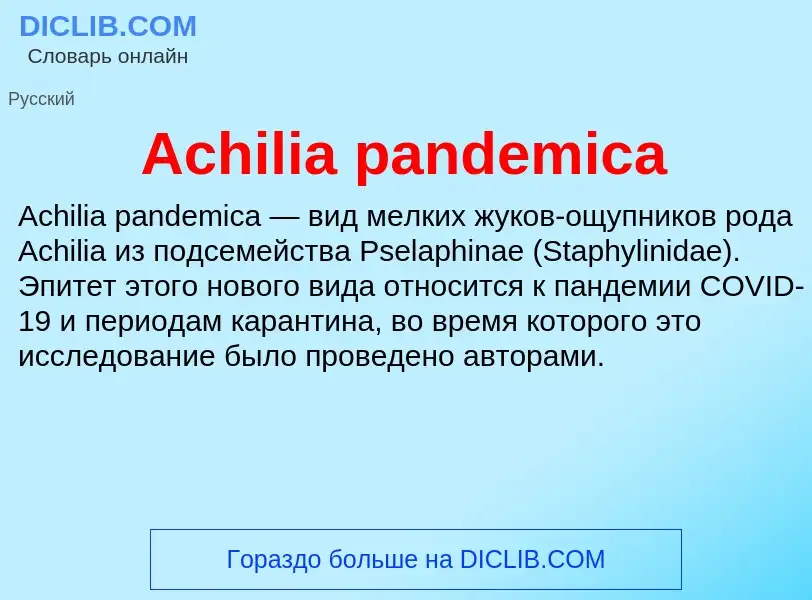 Τι είναι Achilia pandemica - ορισμός