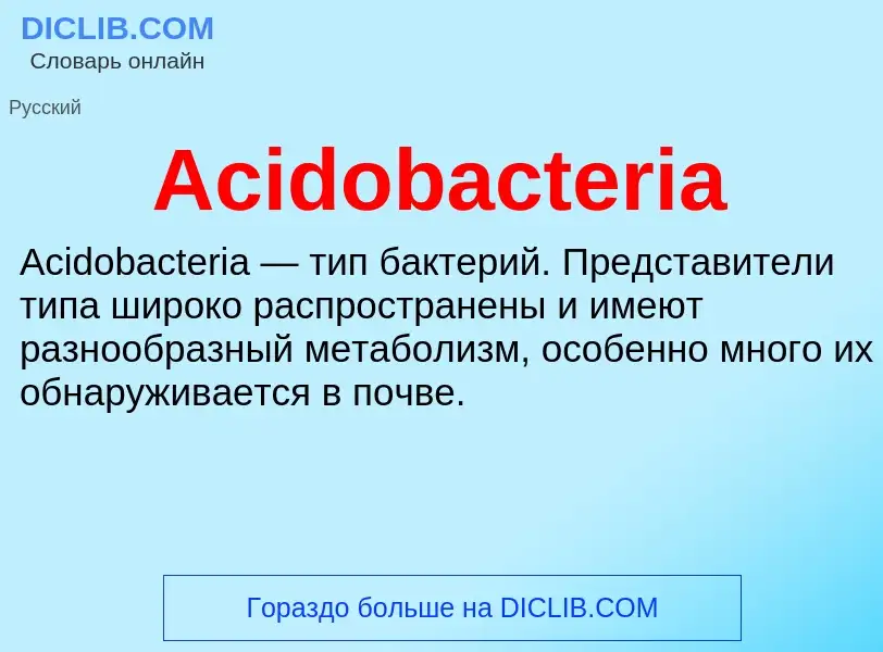 Τι είναι Acidobacteria - ορισμός