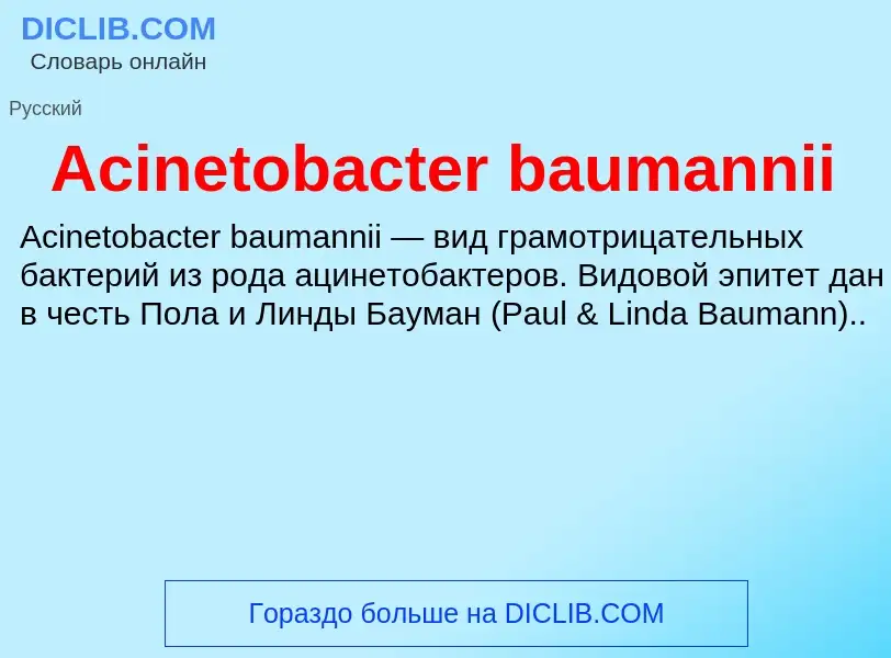 Τι είναι Acinetobacter baumannii - ορισμός