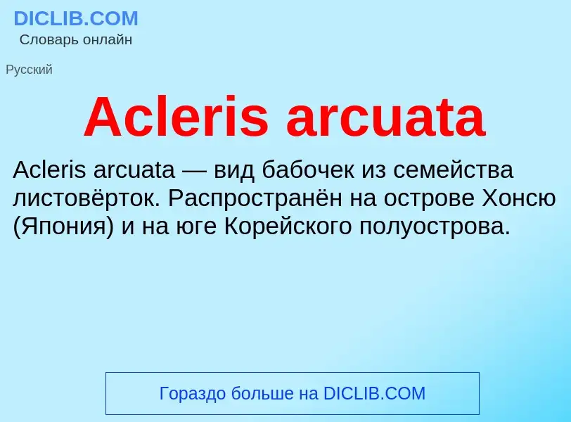 Τι είναι Acleris arcuata - ορισμός