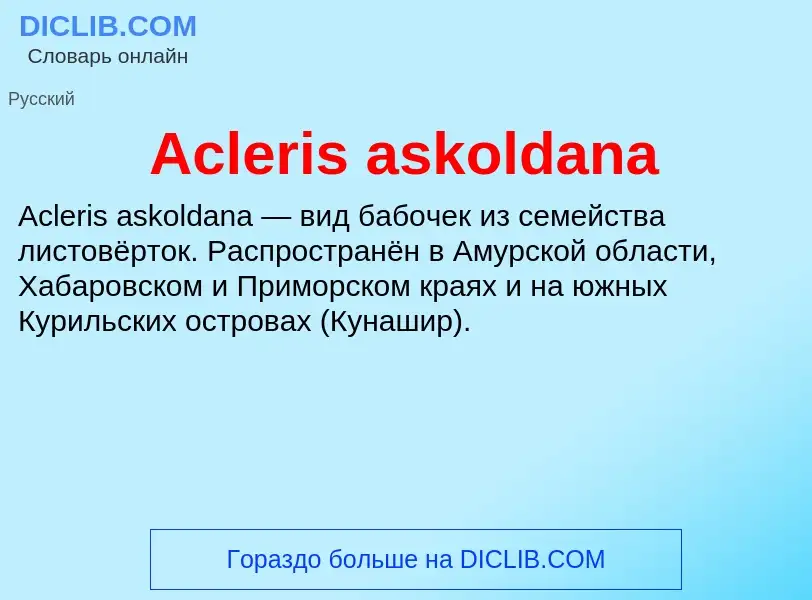 Τι είναι Acleris askoldana - ορισμός