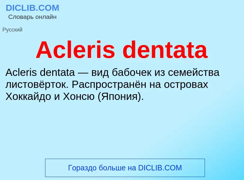 Τι είναι Acleris dentata - ορισμός