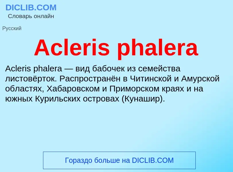 Τι είναι Acleris phalera - ορισμός