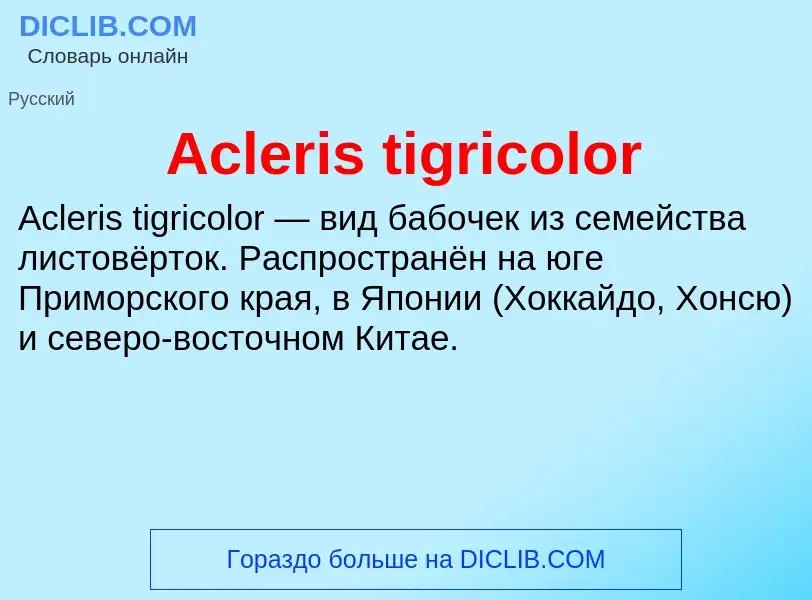 Τι είναι Acleris tigricolor - ορισμός