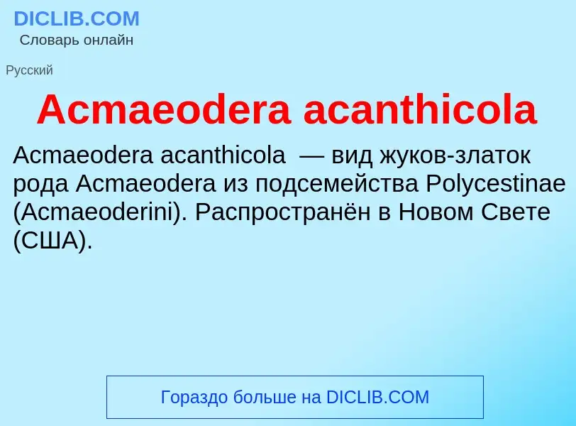 Τι είναι Acmaeodera acanthicola - ορισμός